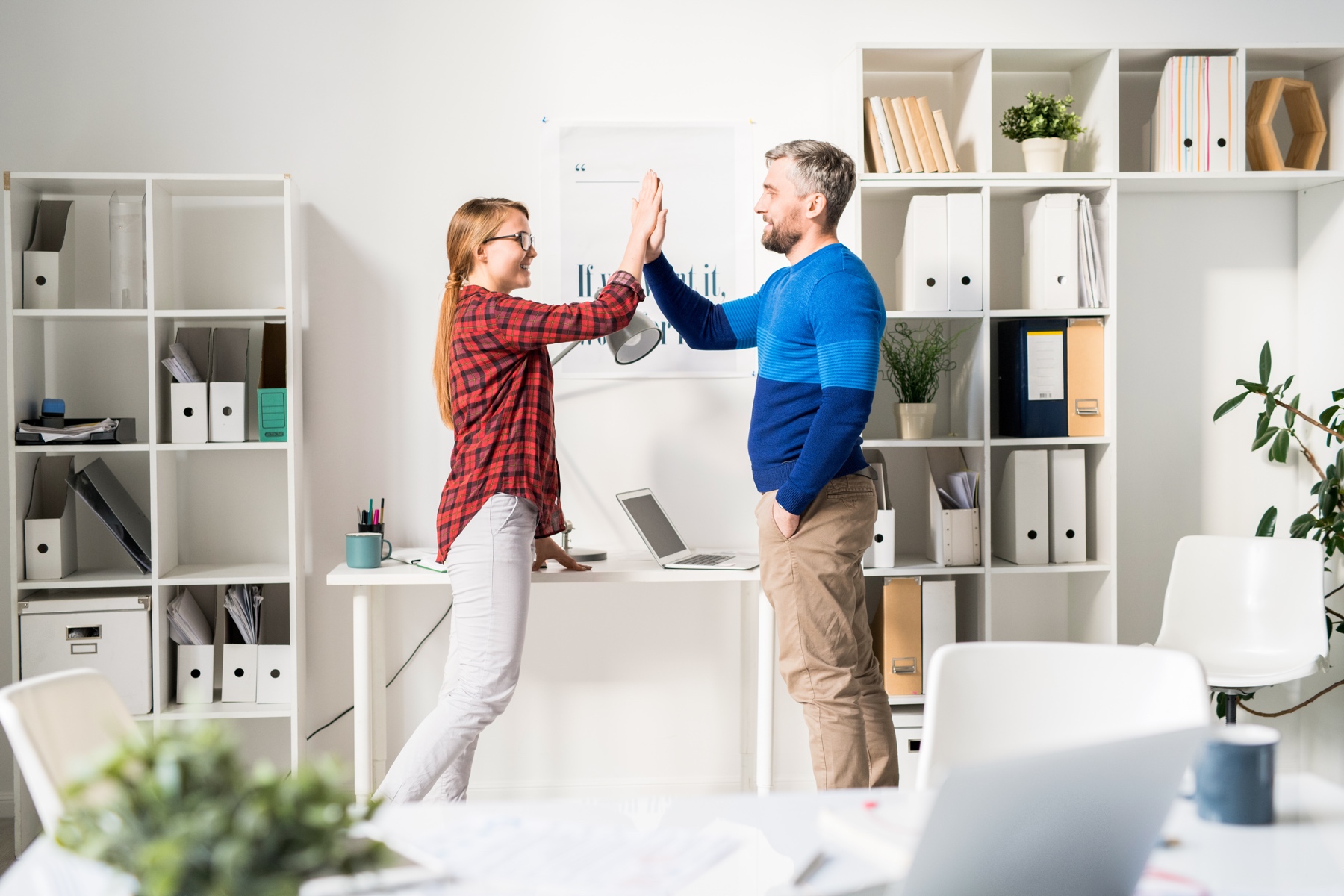 Estudio de satisfacción empresarial con el software implantado [2019]