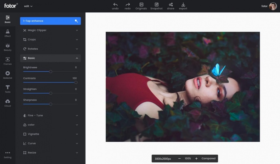 Alternativa a Canva 5: Fotor