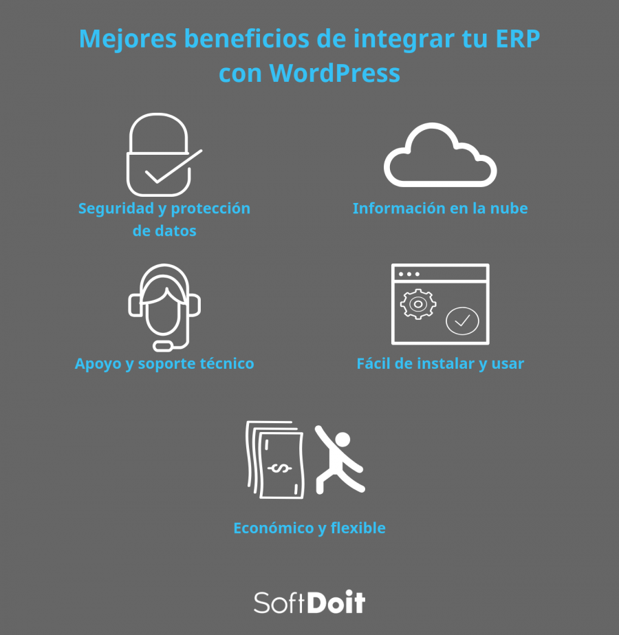 infografia erp wordpress