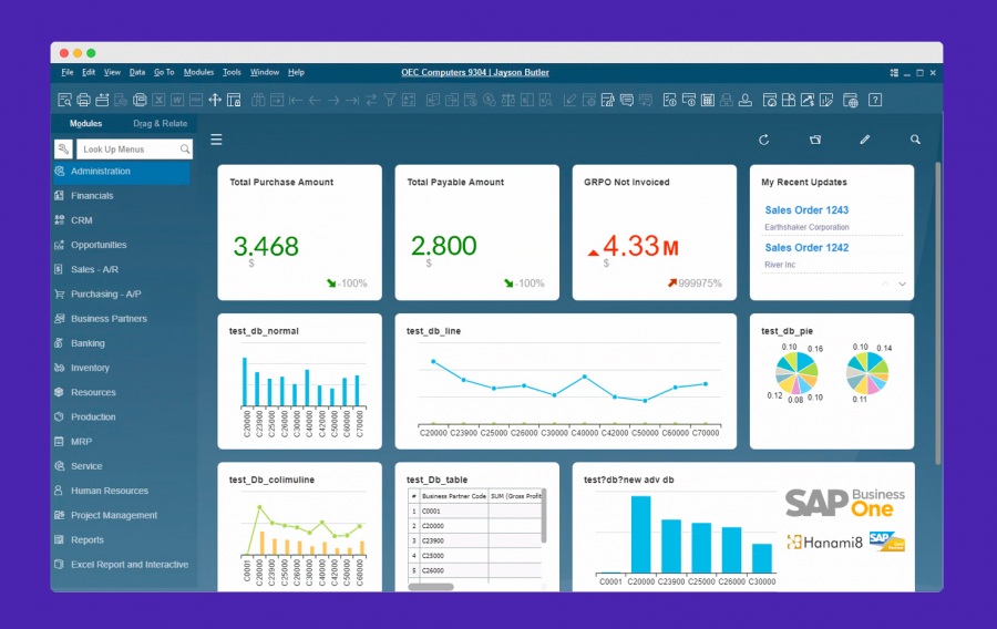 Hanami8: SAP Business One
