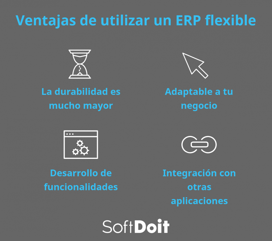 erp flexible