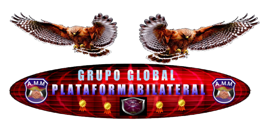 A.M.M.SERVICIOS GRUPO GLOBAL PLATAFORMA BILATERAL
