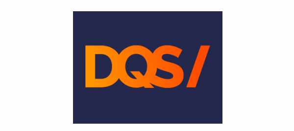 DQS Consulting