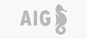 AIG AIG