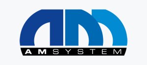 AM System AM System