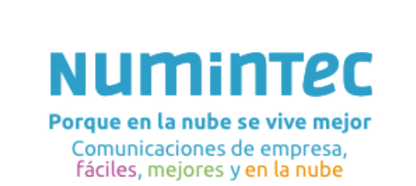 Numintec