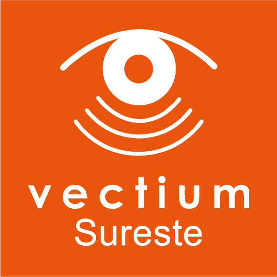 VECTIUM SURESTE SA DE CV